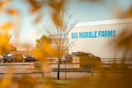 Photo by Clayton Jackshaw