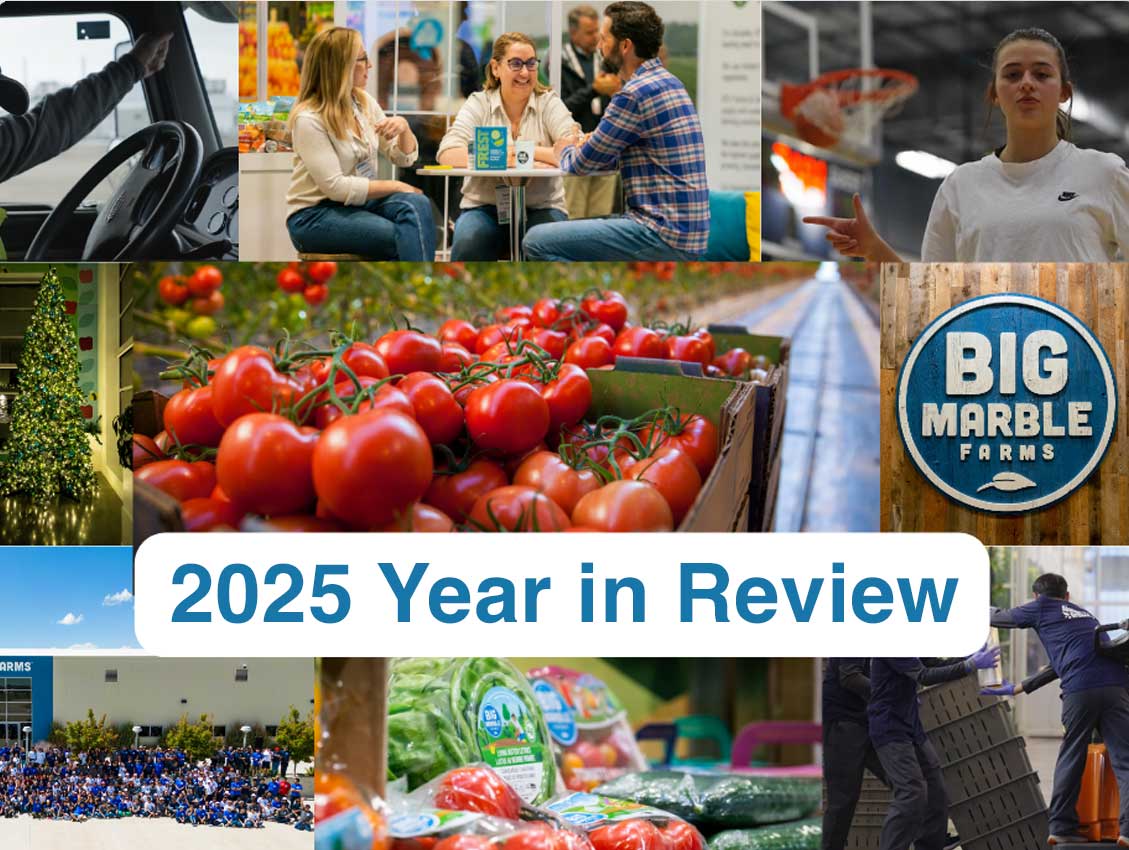 2025 A Year In Review