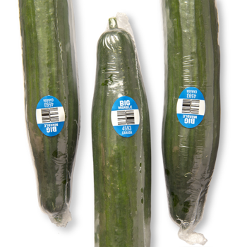 Long English Cucumber Singles